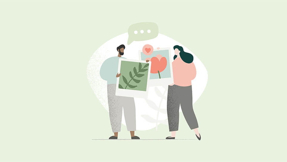 Crocus_grid_image_960x542px